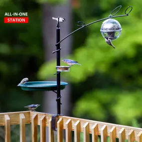 Deck Station with Bird Bath, Dish and Feeder