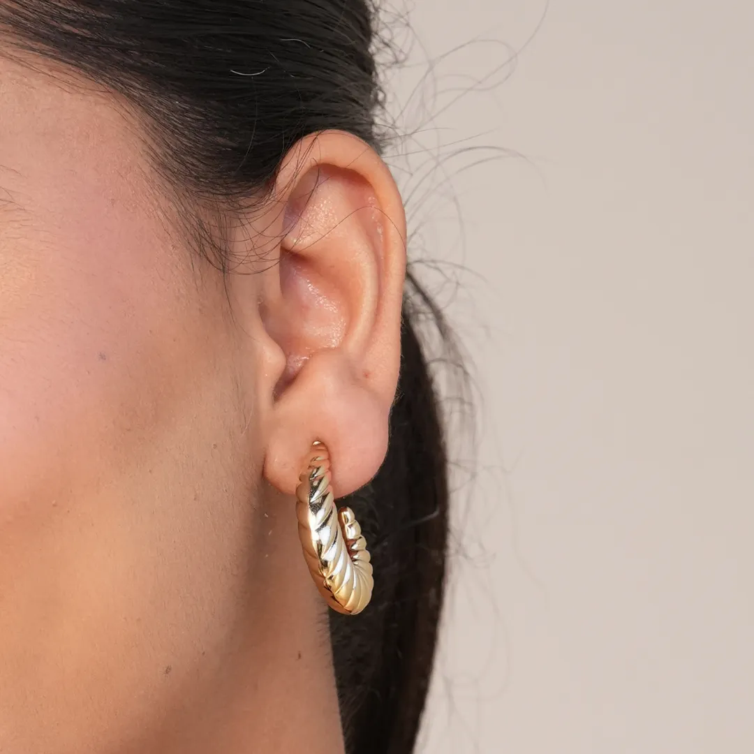 TFC Spiral Panini Gold Plated Hoop Earrings